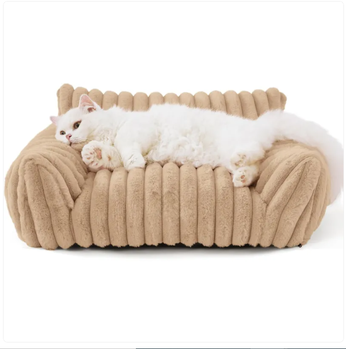 Restwell Orthopedic Sofa Bed