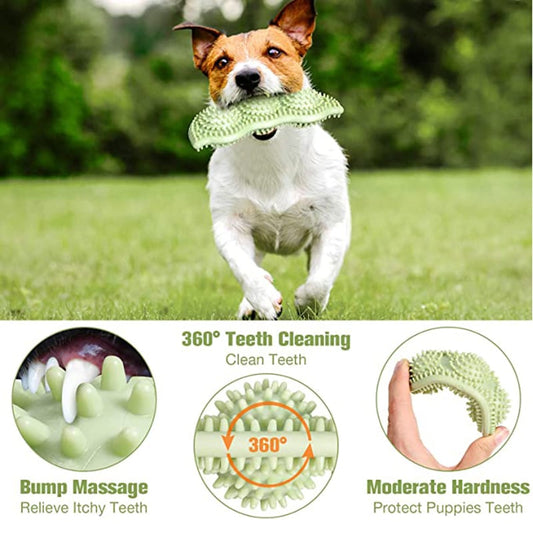 IronBite Interactive Chew Ball