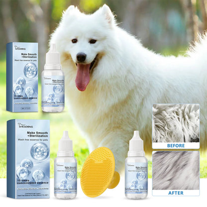 The Vanta Self-Cleaning Grooming Brush