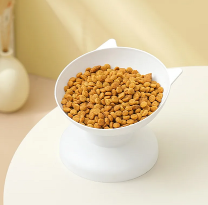 ErgoFeed Tilted Comfort Bowl
