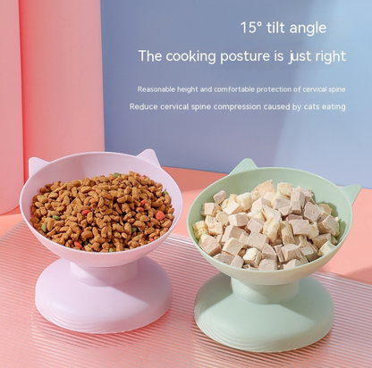 ErgoFeed Tilted Comfort Bowl