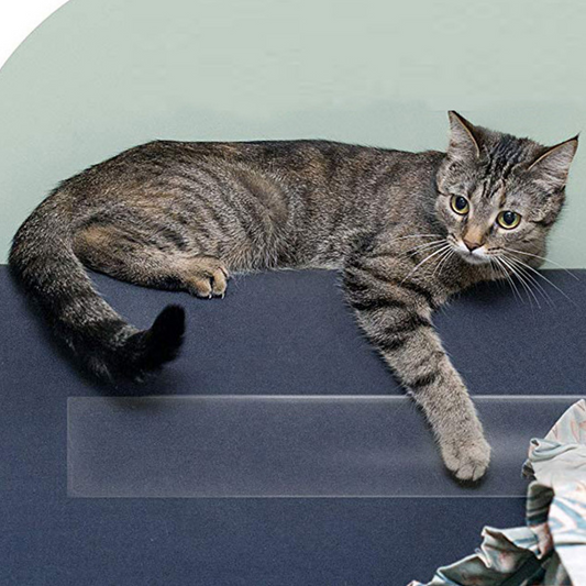 Furniture Shield Anti-Scratch Tape