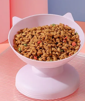 ErgoFeed Tilted Comfort Bowl