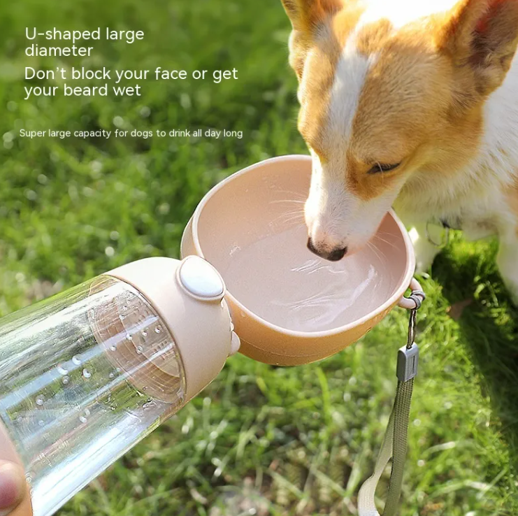 Sip & Go Travel Water Bottle