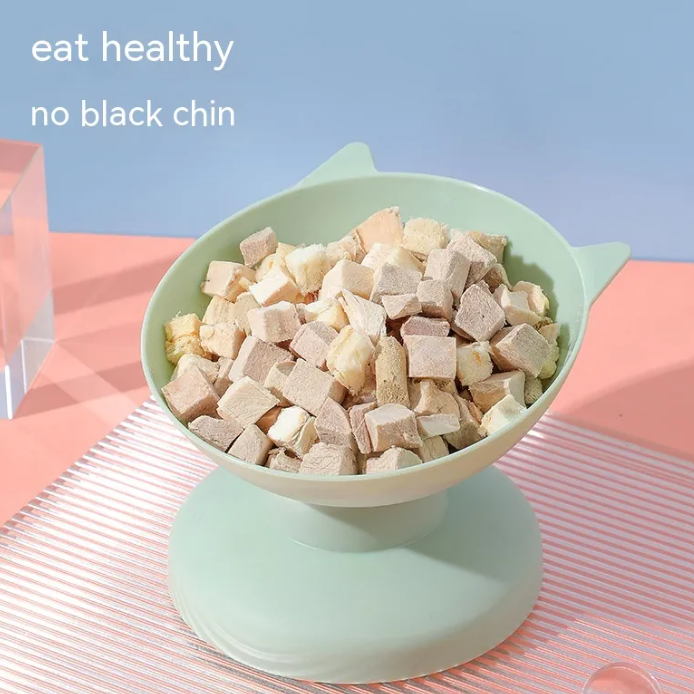 ErgoFeed Tilted Comfort Bowl