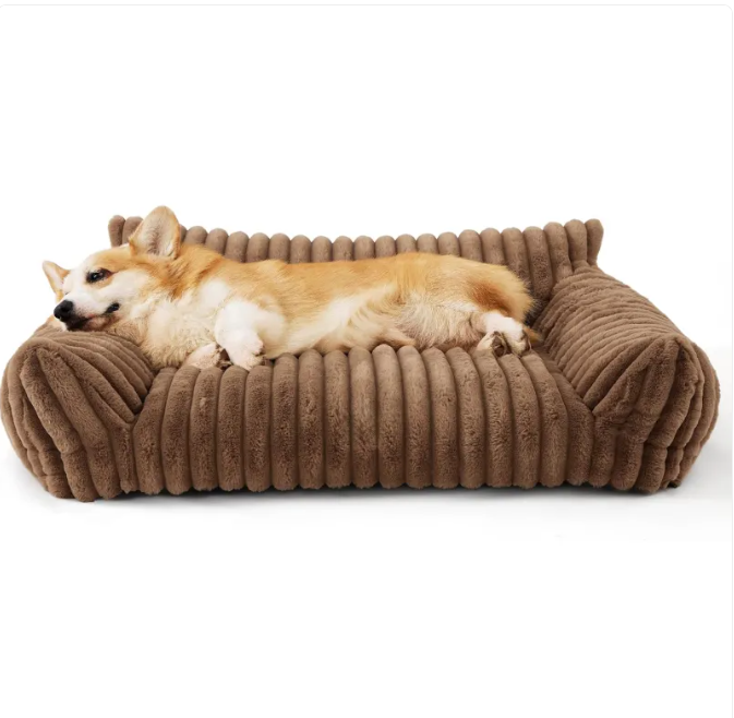Restwell Orthopedic Sofa Bed
